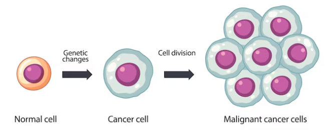 Best Cancer Treatment Specialist in Mumbai